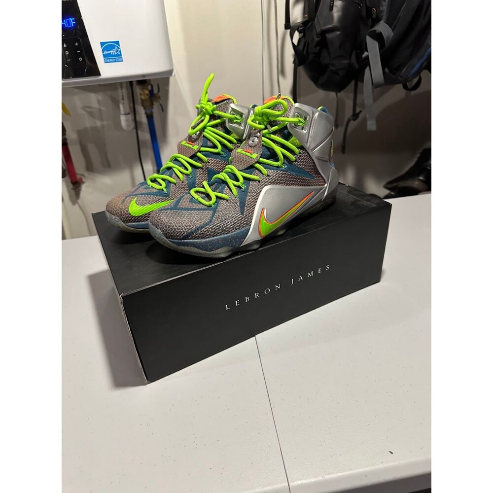 Lebron 12 trillion dollar man size 10.5